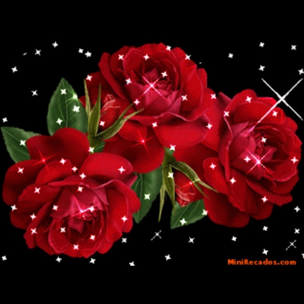 Meet your Posher, Fatima